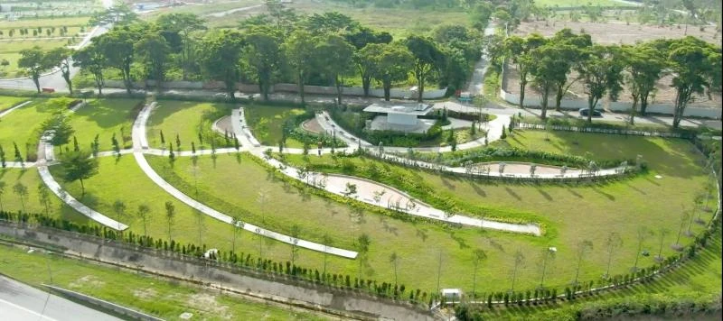 時隔五年，國人對骨灰撒在公園的做法接受度大轉變