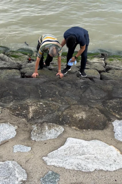 時隔五年，國人對骨灰撒在公園的做法接受度大轉變