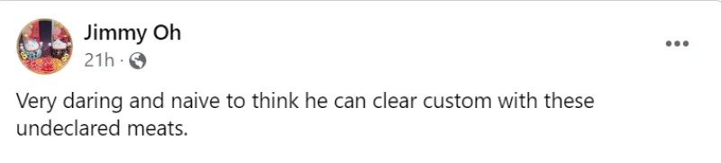 網民不解男子為何從中國帶226公斤凍肉挑戰樟宜機場海關？