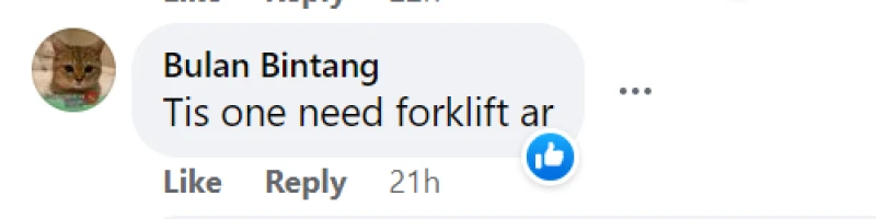 網民不解男子為何從中國帶226公斤凍肉挑戰樟宜機場海關？