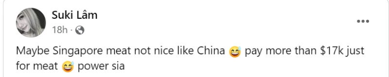 網民不解男子為何從中國帶226公斤凍肉挑戰樟宜機場海關？