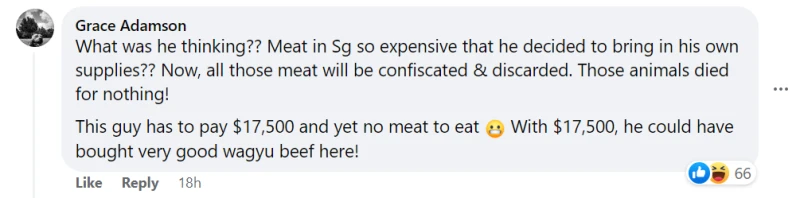 網民不解男子為何從中國帶226公斤凍肉挑戰樟宜機場海關？