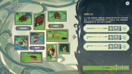 《原神》動物行為有哪些？動物行為任務玩法分享