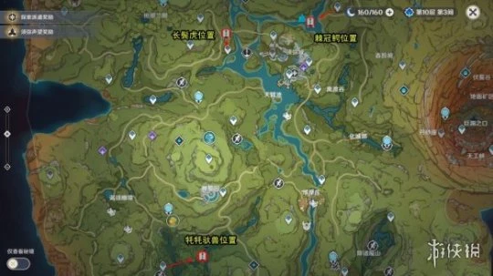 《原神》動物行為有哪些？動物行為任務玩法分享