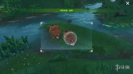 《原神》動物行為有哪些？動物行為任務玩法分享