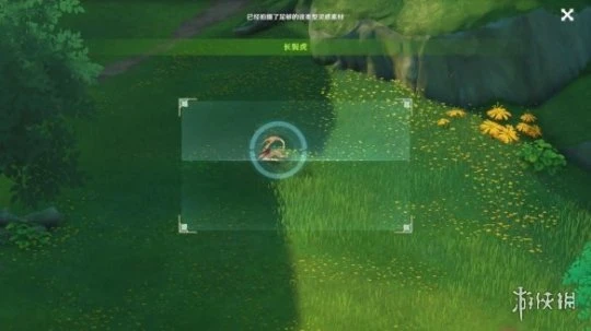 《原神》動物行為有哪些？動物行為任務玩法分享