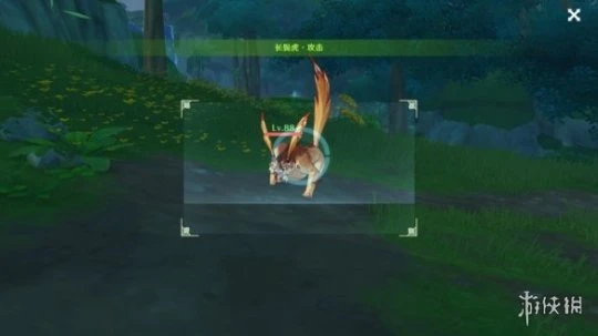 《原神》動物行為有哪些？動物行為任務玩法分享