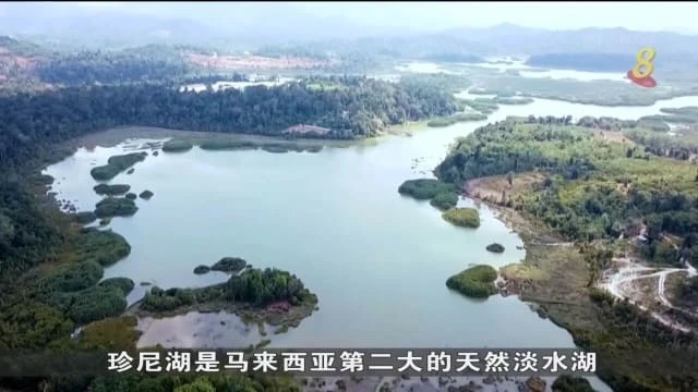 彭亨州修復珍尼湖自然生態環境 原住民積極培植樹苗
