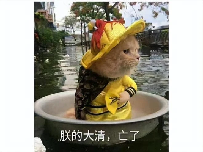 製作人技術太菜就開外掛，還在遊戲里懟玩家？事後被罰洗廁所