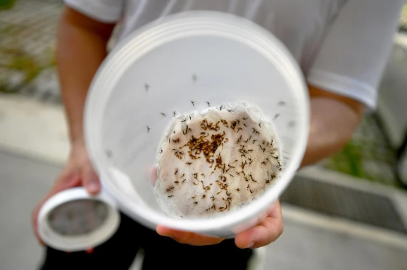 氣候危機或導致多種傳染病惡化　專家：我國更須防病毒「入境」