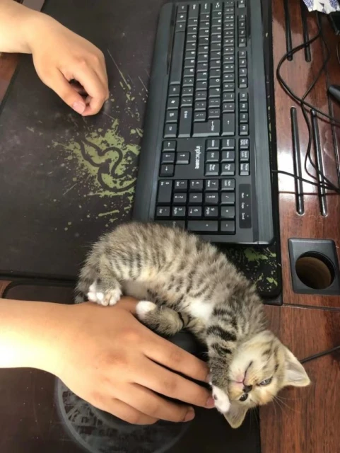 一位中國母親，正在夜之城「追尋」兒子生前的軌跡