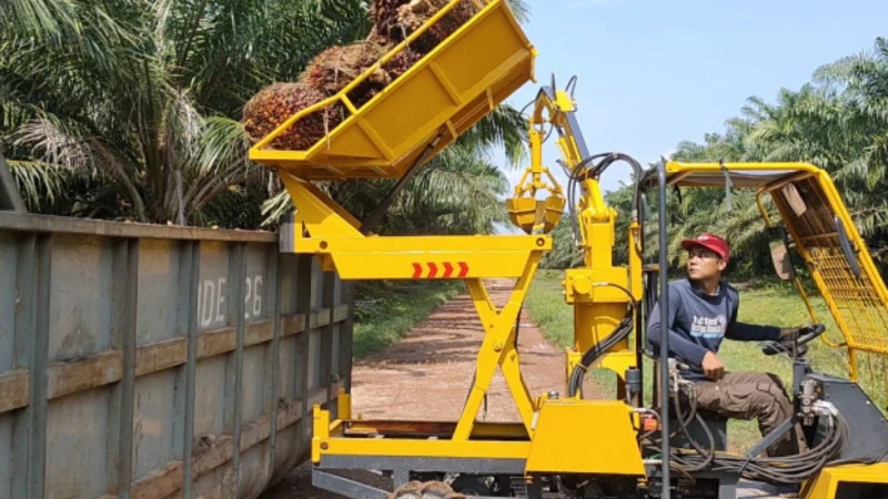 透過機械化 森那美擬裁55%種植園勞工