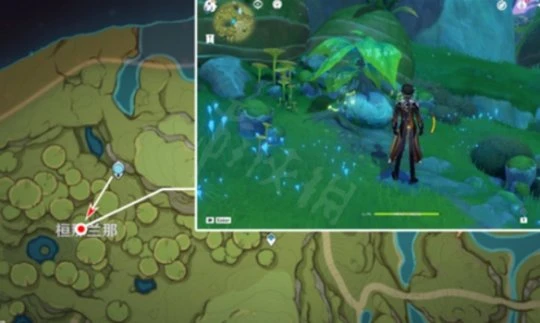《原神》關於你與蘭那羅的故事兌換地點在哪？關於你與蘭那羅的故事兌換地點介紹