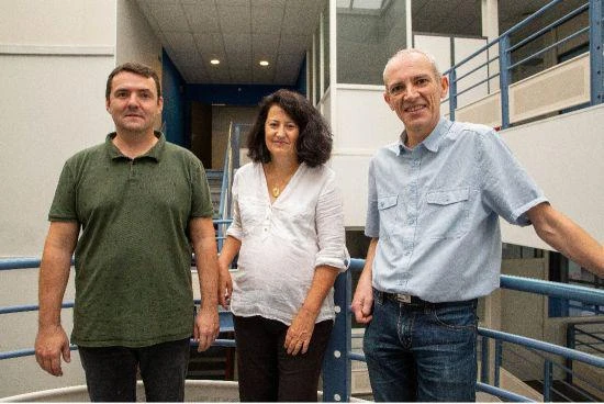 維塔士設立蒙彼利埃實驗室強化視頻遊戲工程能力