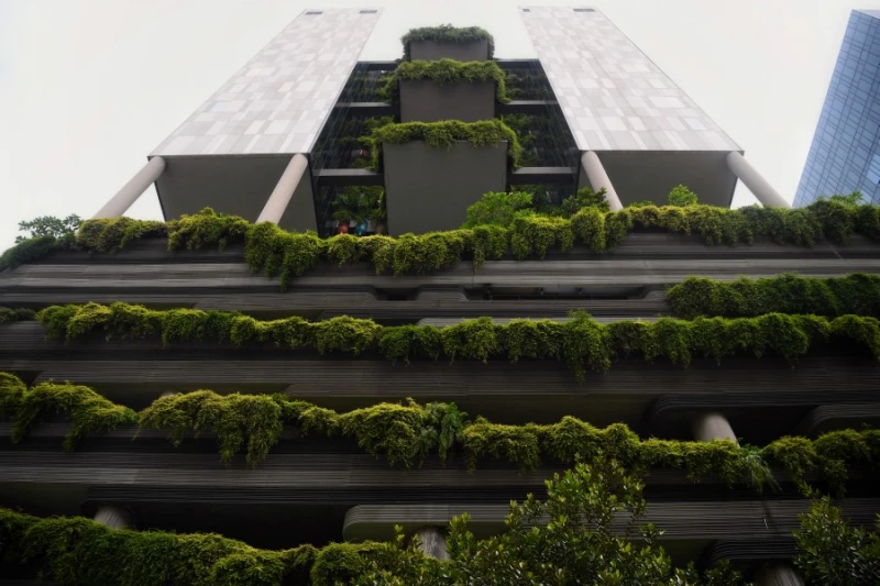 天降奇兵只為斬草　屋主：斬草未除根，春風吹又生！