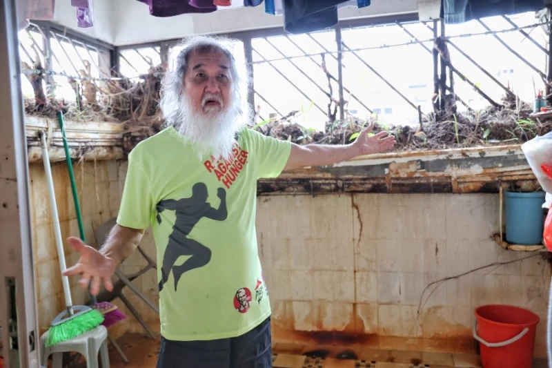 天降奇兵只為斬草　屋主：斬草未除根，春風吹又生！