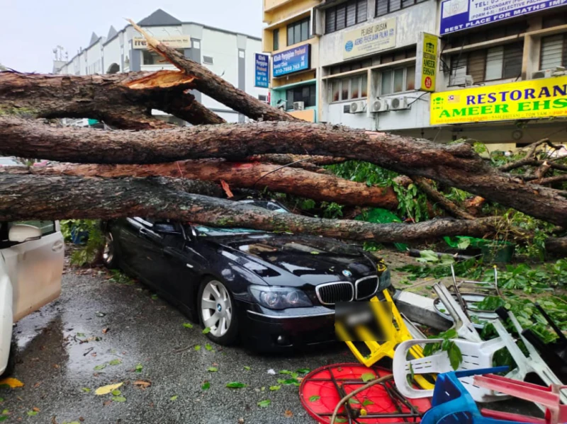 大樹塌下砸4車 6人路過遭殃負傷