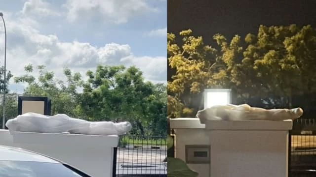 是網購屍體嗎？！包裹形狀嚇壞馬國女子 不敢拿進屋