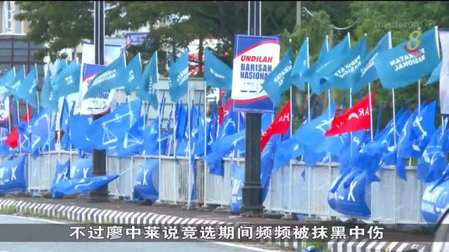 專家：馬國一些有名望的獨立人士其實有勝算