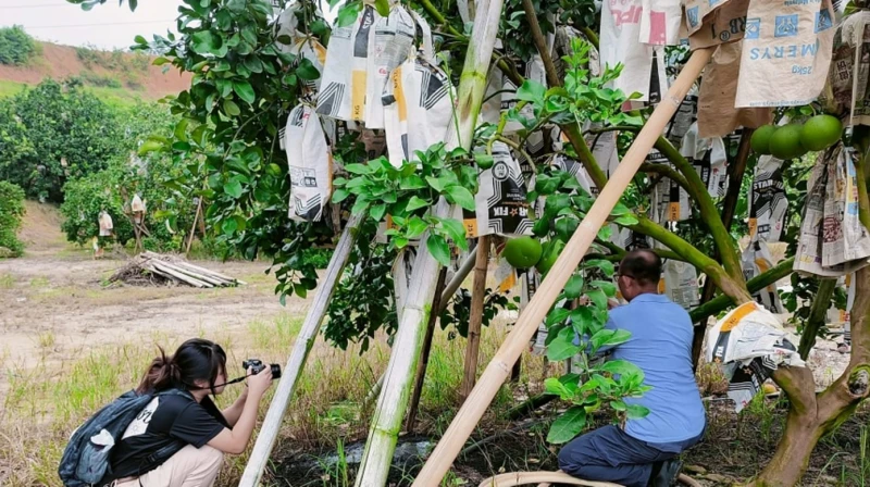 【相冊】幕後花絮：新傳媒中文新聞與時事組記者 全馬了解選情