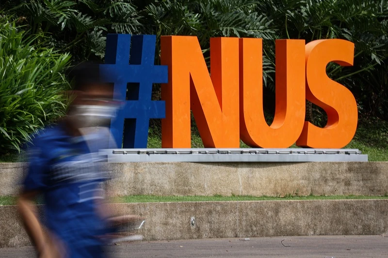 國大南大生很搶手？　「冒牌校友」用假文憑讓11家公司高薪聘他