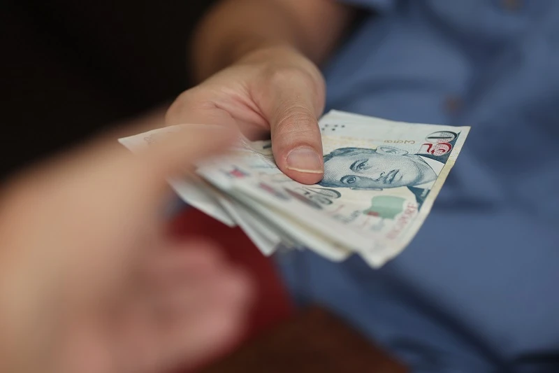 國大南大生很搶手？　「冒牌校友」用假文憑讓11家公司高薪聘他