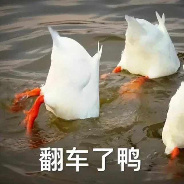 《百面千相》實機效果狠狠超預期，這可能是今年最能打的國產手游