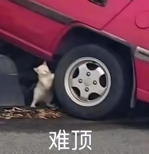 《百面千相》實機效果狠狠超預期,這可能是今年最能打的國產手游