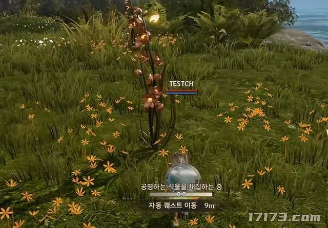 布料越少，戰力越高？「美術至上」成韓國遊戲新風潮