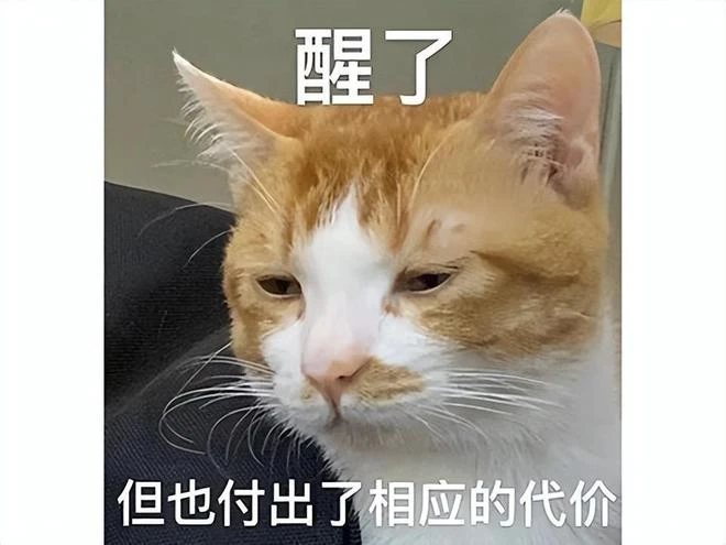 韓國開年第一大作，被玩家戲稱為韓國版原神，現在支持中文了！