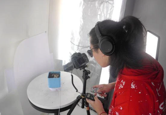 維塔士:希望發揮遊戲技術專長探索更多數字化應用