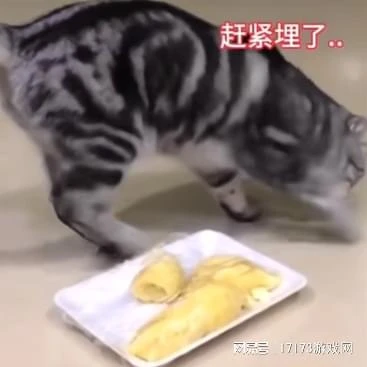 米哈游翻車了?《絕區零》節奏不止,到底哪出問題了?