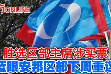 勝選主席涉買票　藍眼安邦區部下周重選