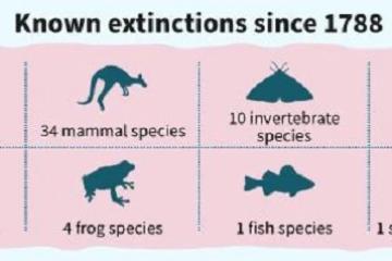 澳洲政府報告：當地環境陷入「災難性」衰退，野生動物面臨絕種