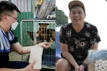 辛偉廉到流浪狗收容當義工感觸良多　翁書尉吁勿隨意碰海龜