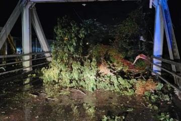 吧巴鐵橋  大樹倒下阻擋來往車輛