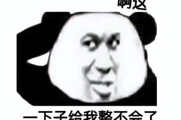 開局勸退！騰訊帕魯剛上線出現逆天BUG，首日不讓登遊戲？