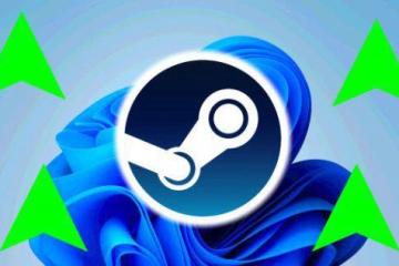 Steam硬體調查顯示：Win11用戶占比即將超越Win10