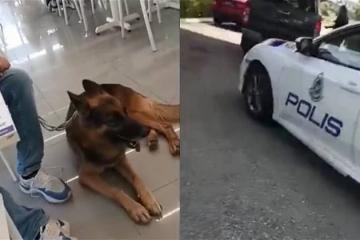 男子帶狗逛便利店惹議　店員勸戒無效被逼報警送客