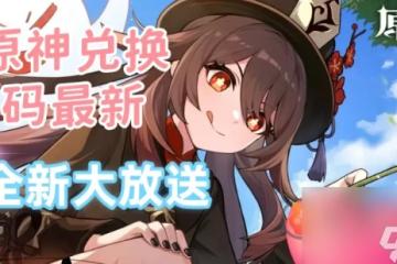 原神4.8兌換碼怎麼獲取 原神兌換碼2024永久有效