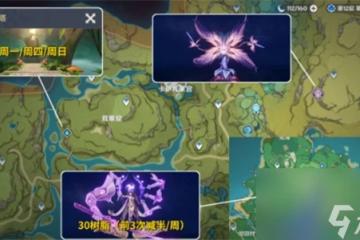 原神賽諾角色培養材料聖金蟲怎麼獲取 原神聖金蟲獲取攻略介紹