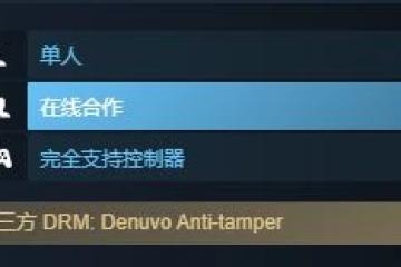 嚴防盜版 哥譚騎士、索尼克未知邊境引入D加密技術