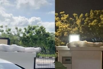 是網購屍體嗎？！包裹形狀嚇壞馬國女子 不敢拿進屋