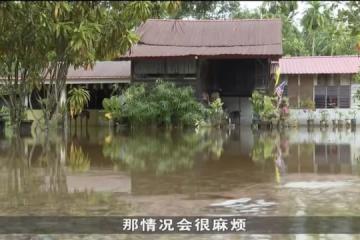 馬國至少有六個州屬受水災影響 或直接影響投票率