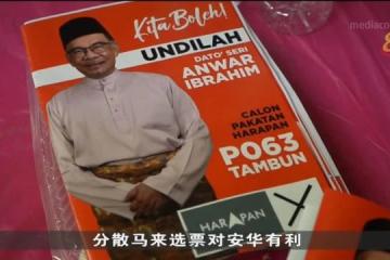 霹靂州選情備受關注 安華處領先地位但選情仍存變數