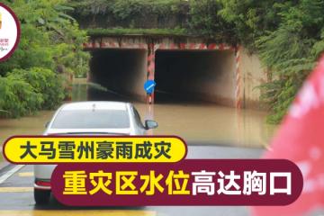 大馬雪州7縣閃電水災　 重災區水位高達胸口