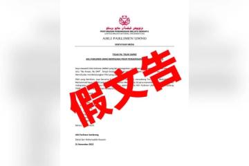 希山慕丁等巫統十議員公開挺慕？假的！