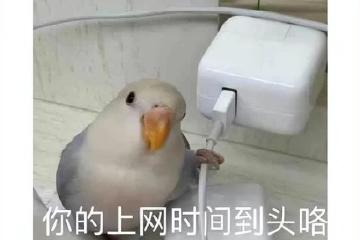 天刀韓服停運，曾經超越劍靈和黑色沙漠，韓國玩家：太氪金才涼