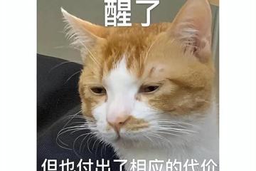 韓國開年第一大作，被玩家戲稱為韓國版原神，現在支持中文了！