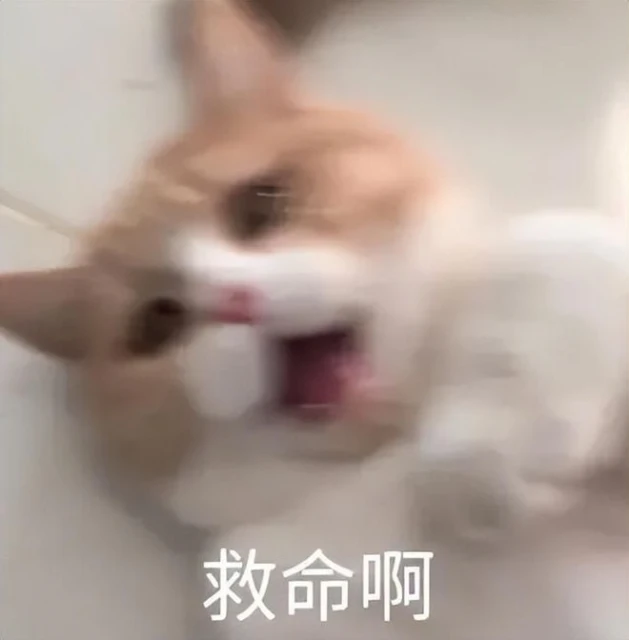 熱游情報：黑猴賀歲版號再發布！暴雪綠茶言論讓網易贏麻了